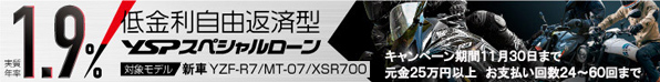 N1.9%Rԍό^ YSPXyV[